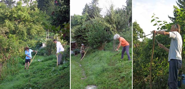 Wehrenbach August 17