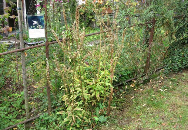 Südstrasse Oktober 2017