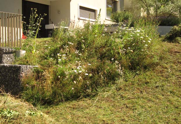 Südstrasse Juli 2017