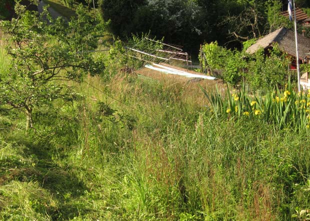 Wehrenbach mit Lilien