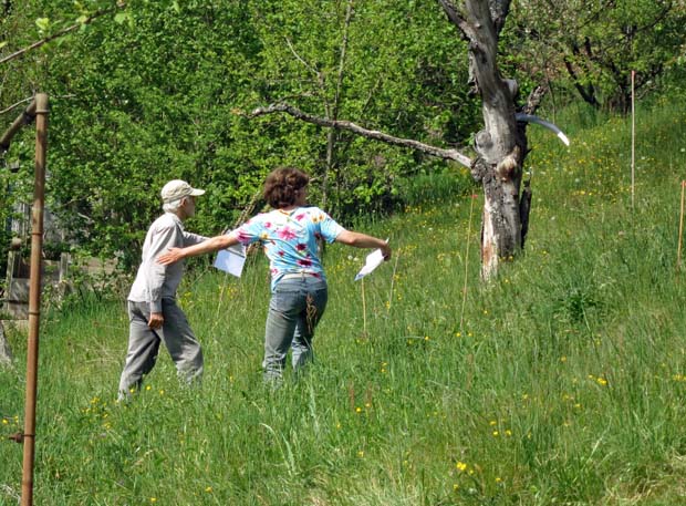 Wehrenbach/20-04-17_3218