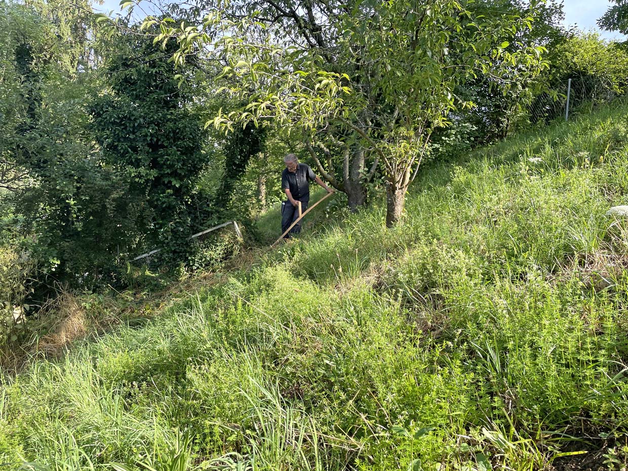 Wehrenbach Juli 23-3 Wehrenbach Juli 23-3